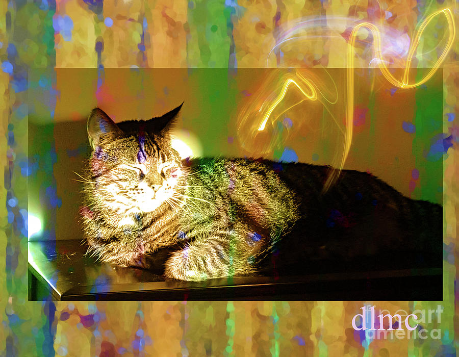Kitten Splendour Digital Art by Donna L Munro
