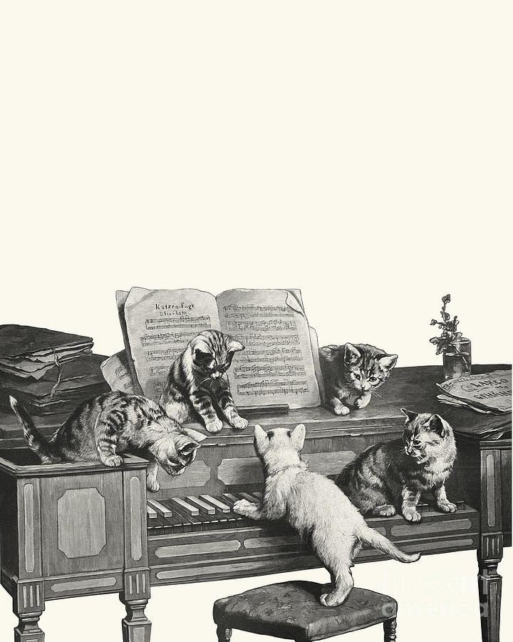 Cat Digital Art - Kittens playing the piano by Madame Memento