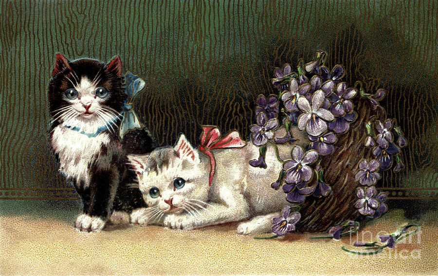 Kittens With Flowers Copy Space Photograph by Pete Klinger
