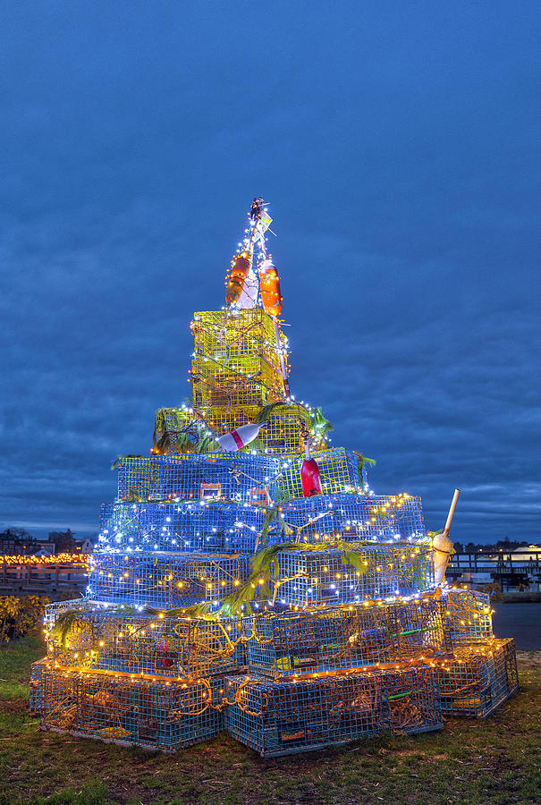 Kittery Maine Lobster Trap Holiday Tree  Photograph by Juergen Roth