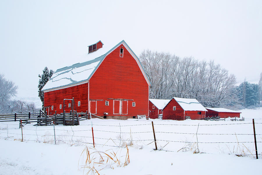 Kittitas Valley Barns Photograph By Pauline Hall