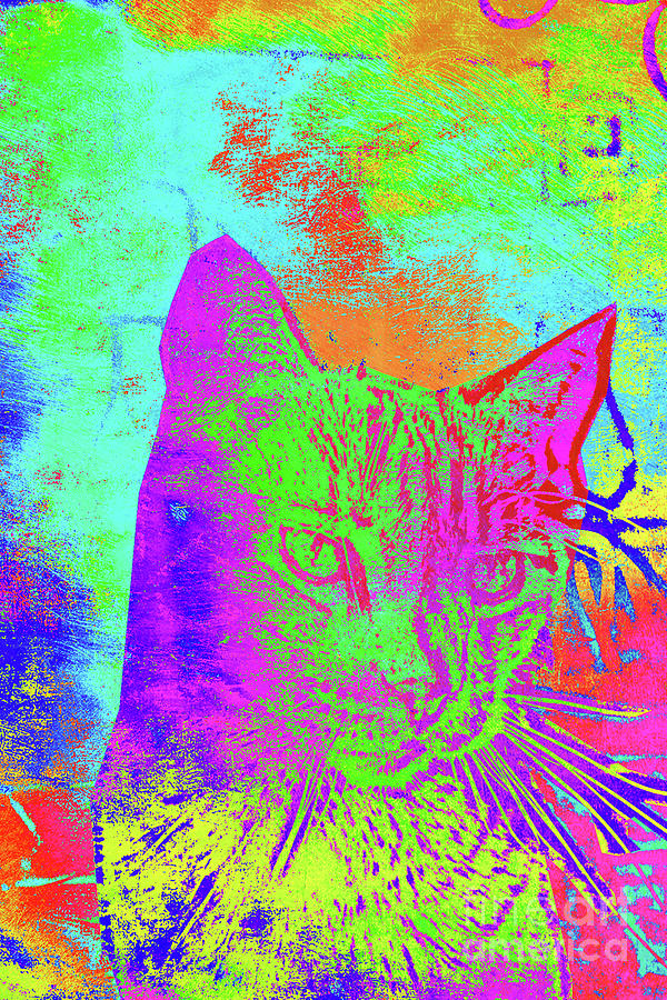 Kitty Cat 69 Digital Art by Chris Taggart | Pixels