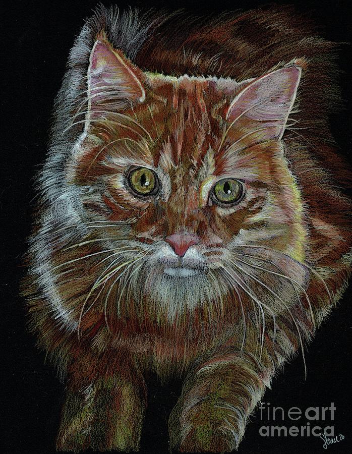 A Life Saved - Kitty Whiskers Drawing by Ellen Strack - Fine Art America