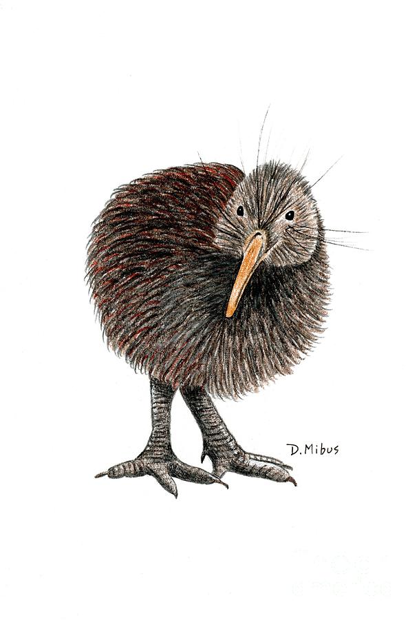 Kiwi Bird of New Zealand Drawing by Donna Mibus
