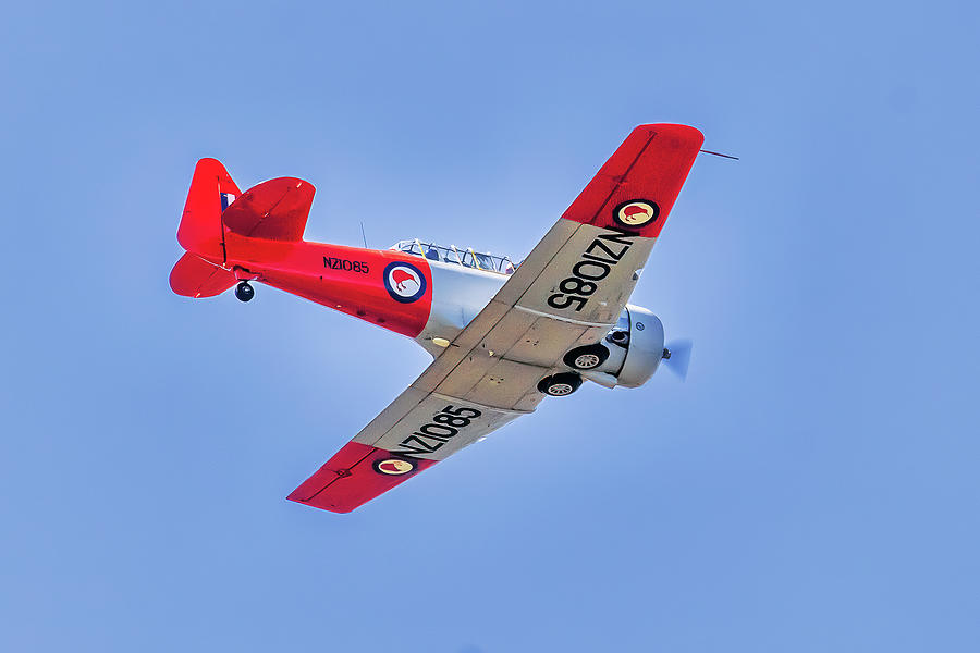 Kiwi Flight Photograph by Rick Nelson