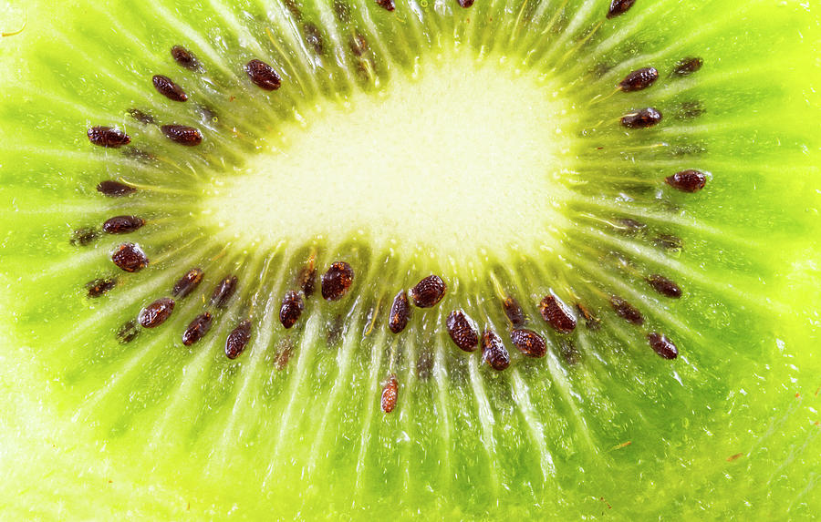 research paper on kiwi fruit