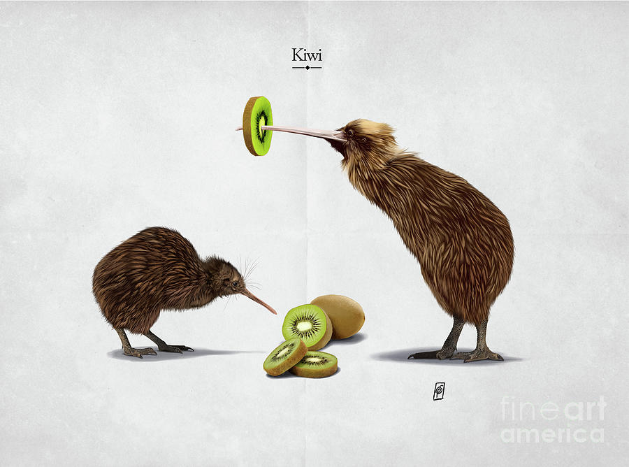 Kiwi Digital Art by Rob Snow
