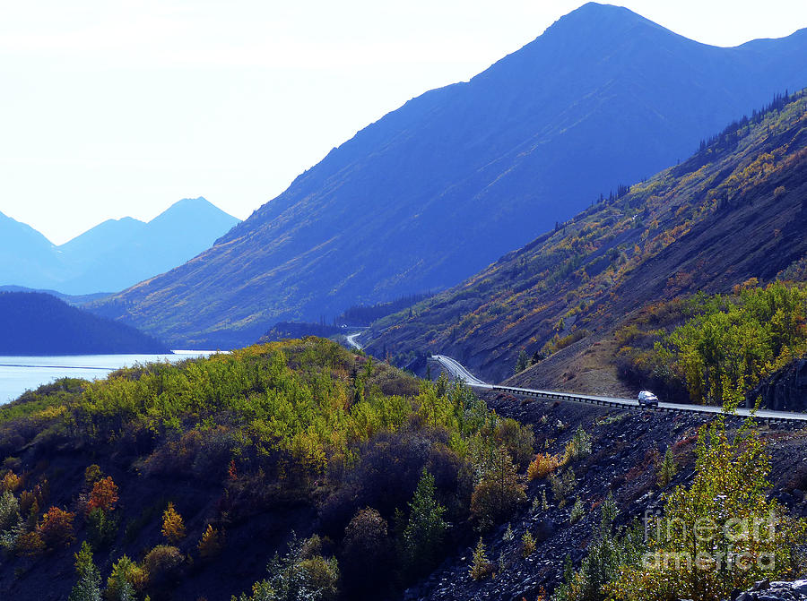 Klondike Highway in Autumn - Canada Photograph by Phil Banks