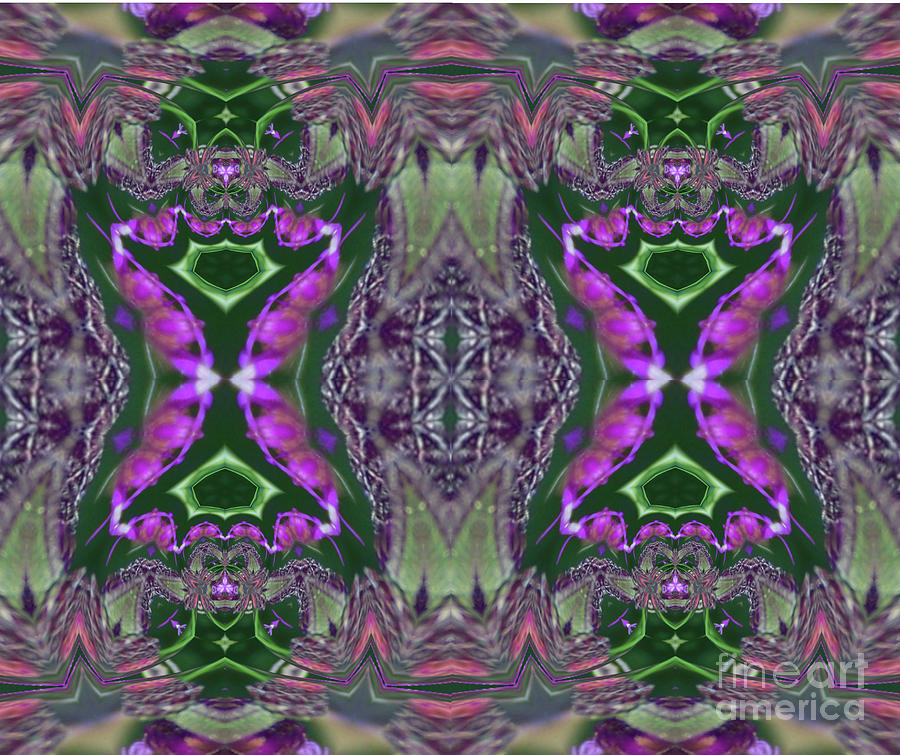 Knapweed Kaleidoscope  Mirrored Digital Art by Charles Robinson