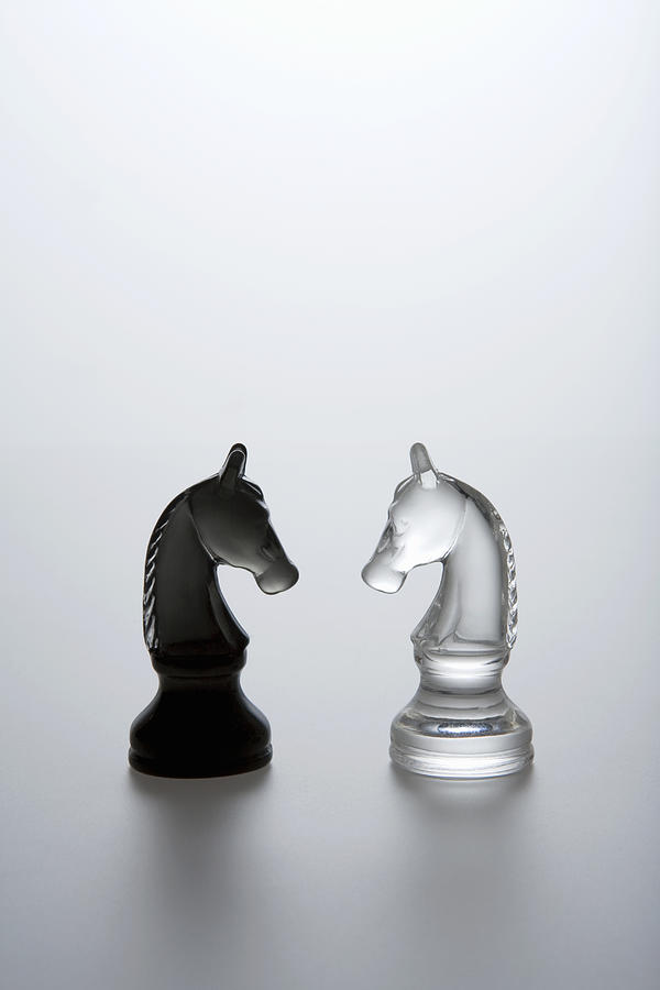 Knight of opposite clearness and black chess Photograph by Michael H