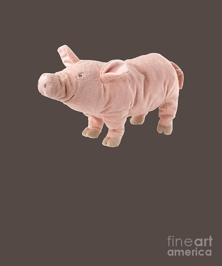 knorrig pig