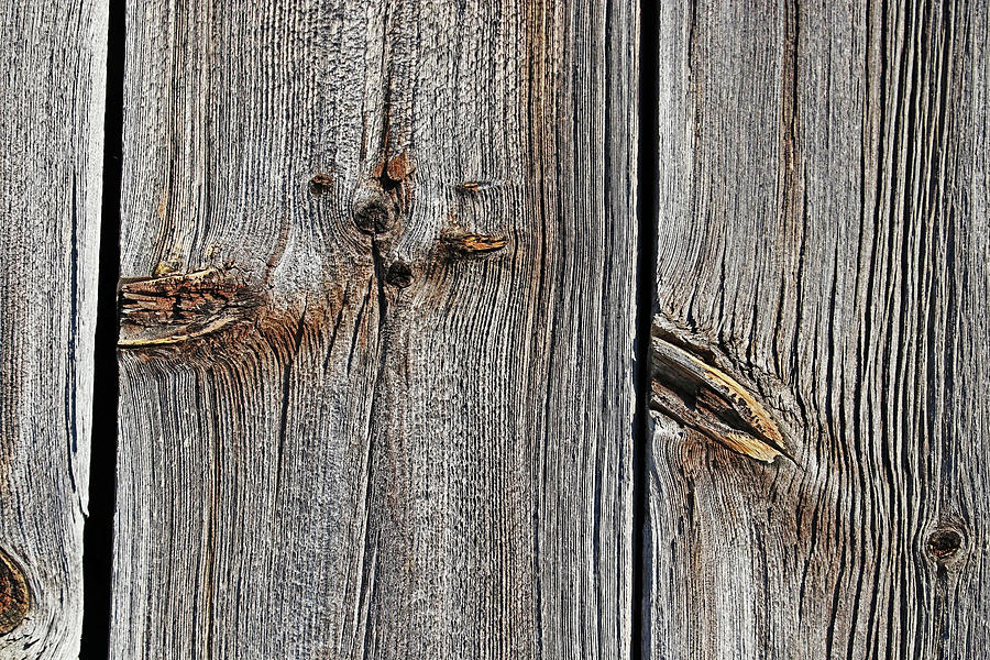 Knots And Texture Photograph by Debbie Oppermann