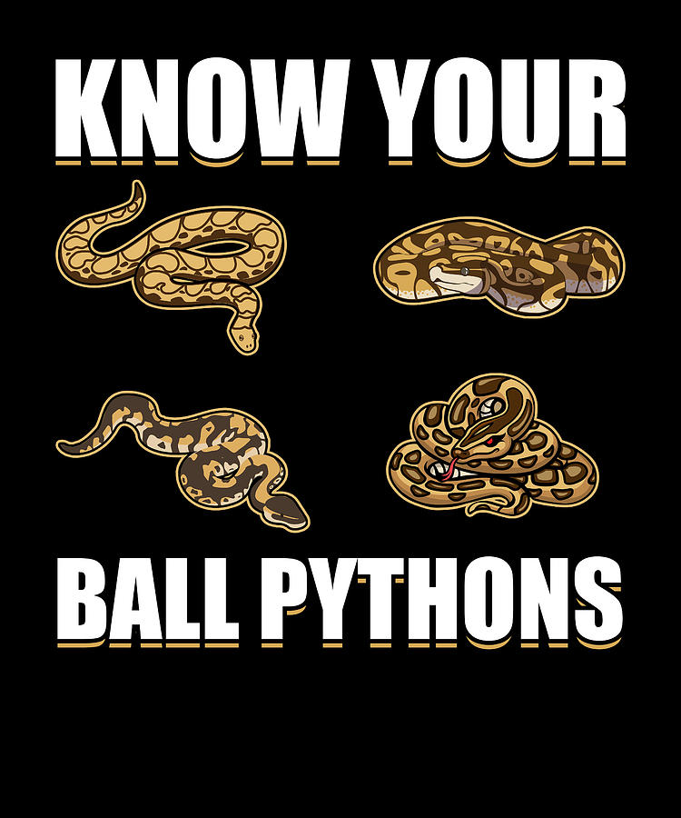 Know Your Ball Pythons Snake Boa Pet Reptile Digital Art by Florian ...