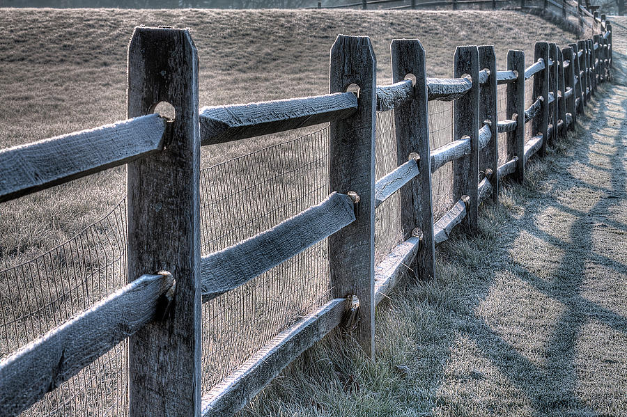 Knox Frosty Fence Photograph by Don Nieman