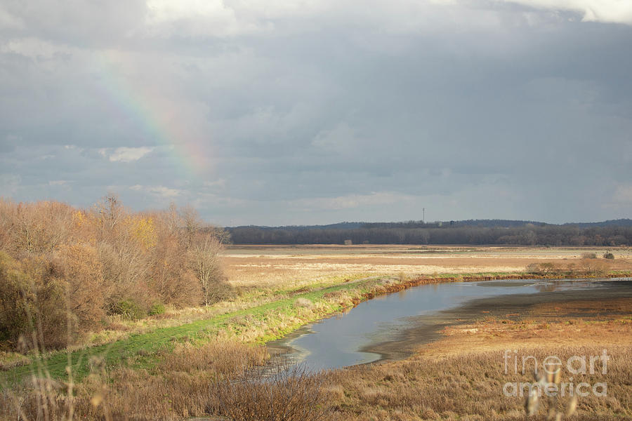 Knox Marsellus Marsh Rainbow Photograph by Jeannette Hunt