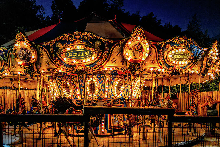 Knoxville Zoo Carousel Lights Photograph by Sharon Popek Knoxville Zoo Carousel Lights Photograph by Sharon Popek