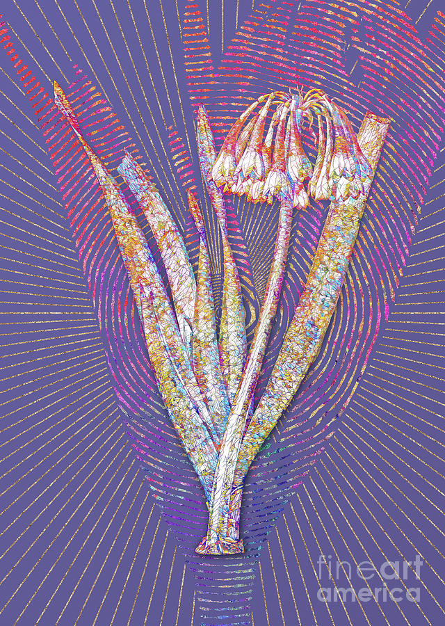 Knysna Lily Mosaic Botanical Art on Veri Peri n.0225 Mixed Media by Holy Rock Design