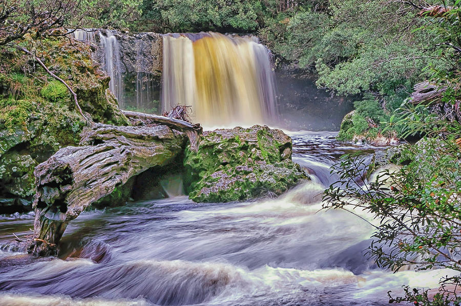 Knyvet Falls - Cradle Mountain National Park - Tasmania Photograph by Tony Crehan