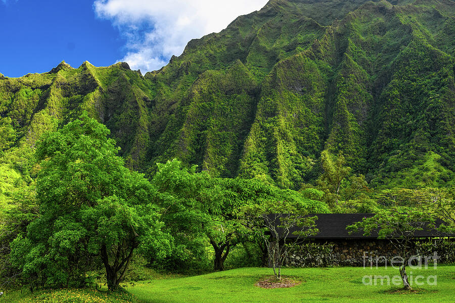 Ko olau Mountain Range, Oahu, Hawaii Photograph by Diana Mary Sharpton