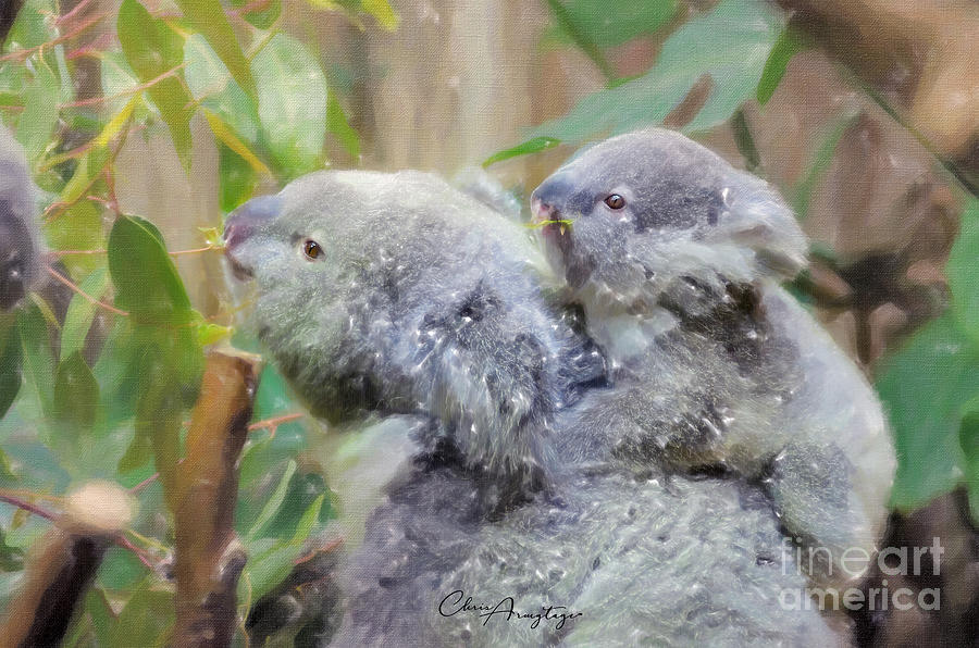 Koala and baby - Endangered Pastel by Chris Armytage