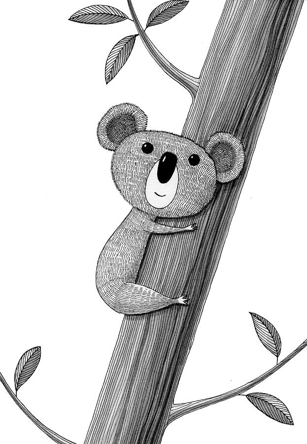 Jungle Drawing - Koala  by Andrew Hitchen