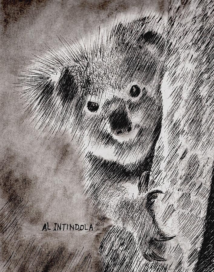 Koala Bear Drawing by Al Intindola