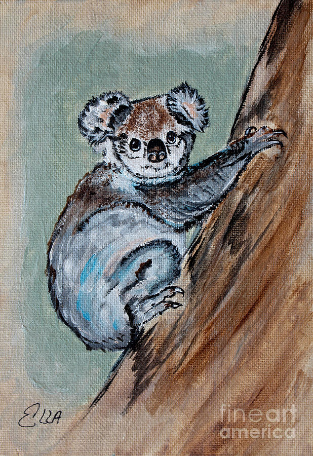Koala Bear Painting Painting by Ella Kaye Dickey