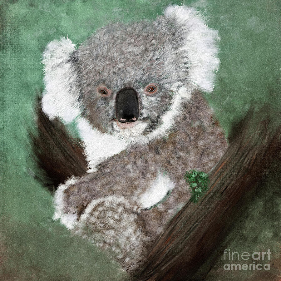 Koala Digital Art by Erika Weber