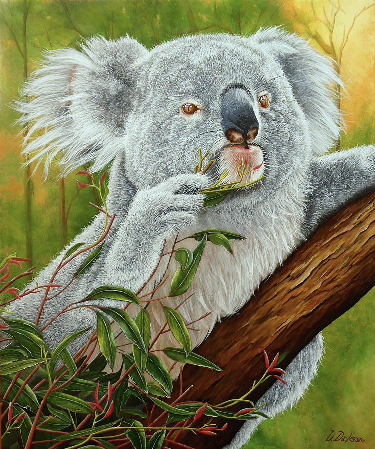 Koala Portrait Painting by Debra Dickson - Fine Art America