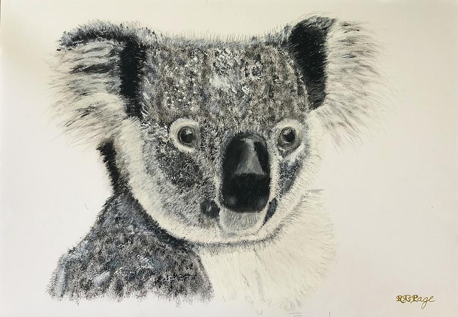 Koala Pastel by Richard Le Page
