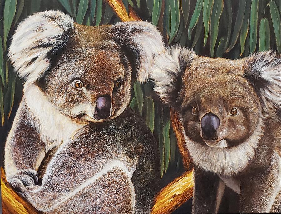 Koala Painting by Sabina Bonifazi