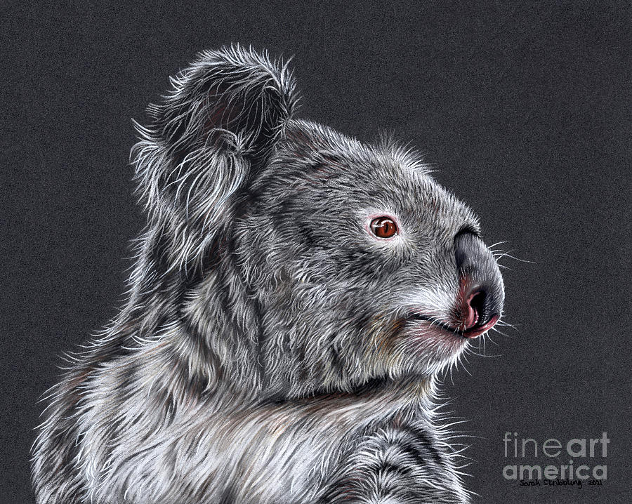 Multicolor Koala Painting by Sarah Stribbling - Pixels Merch
