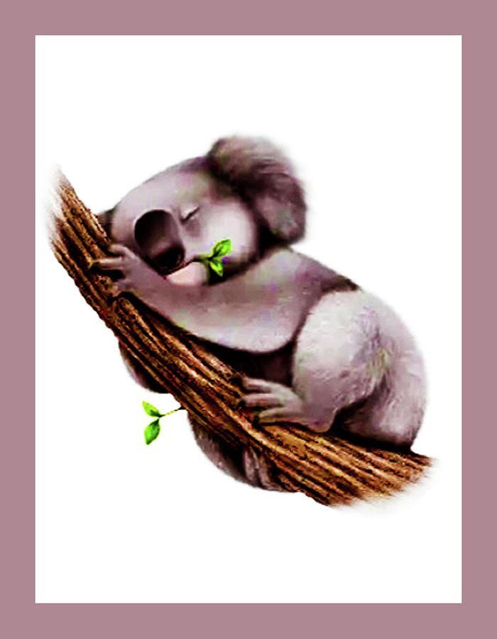 Koala Sleeping Time Digital Art by Fine Art by Alexandra