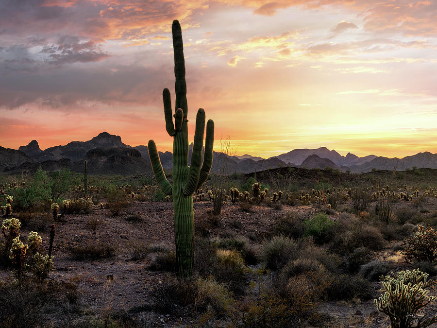 Kofa Desert Sunset Arizona 4 Photograph by Leland D Howard