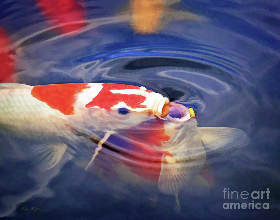 Koi Competition Digital Art by L J Oakes