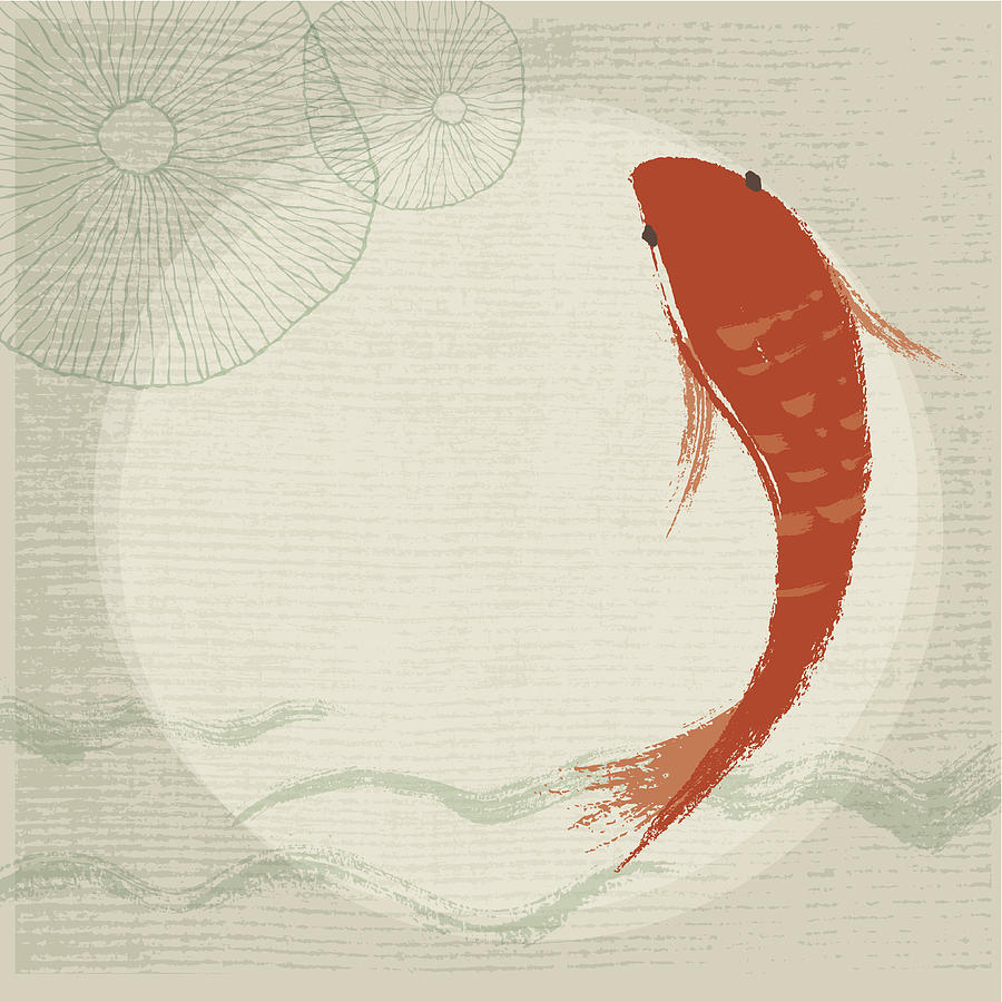 Koi Fish & Waterlily Background Drawing by GelatoPlus