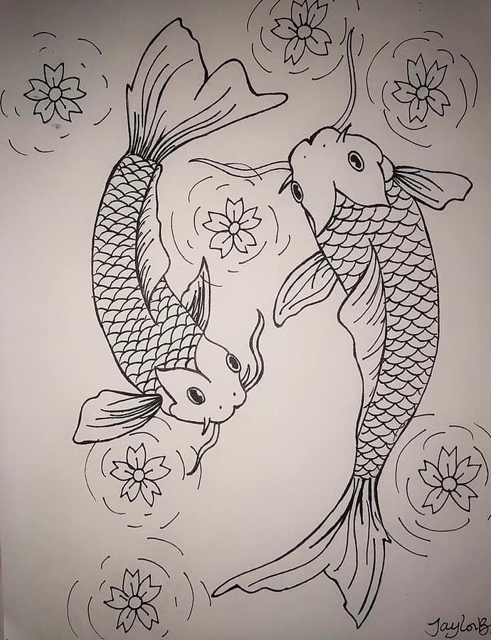 Koi Fish Drawing By Taylor Brock
