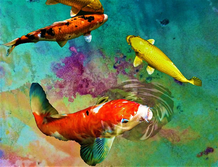 Water Digital Art - Koi by Mary Poliquin - Policain Creations