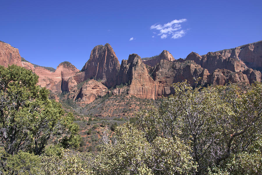 Kolob Canyon #4 Photograph By Tony Huffaker - Fine Art America