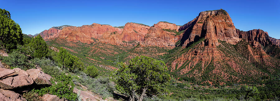 Kolob Timber Creek Trail Panorama Photograph by Andrew Pacheco