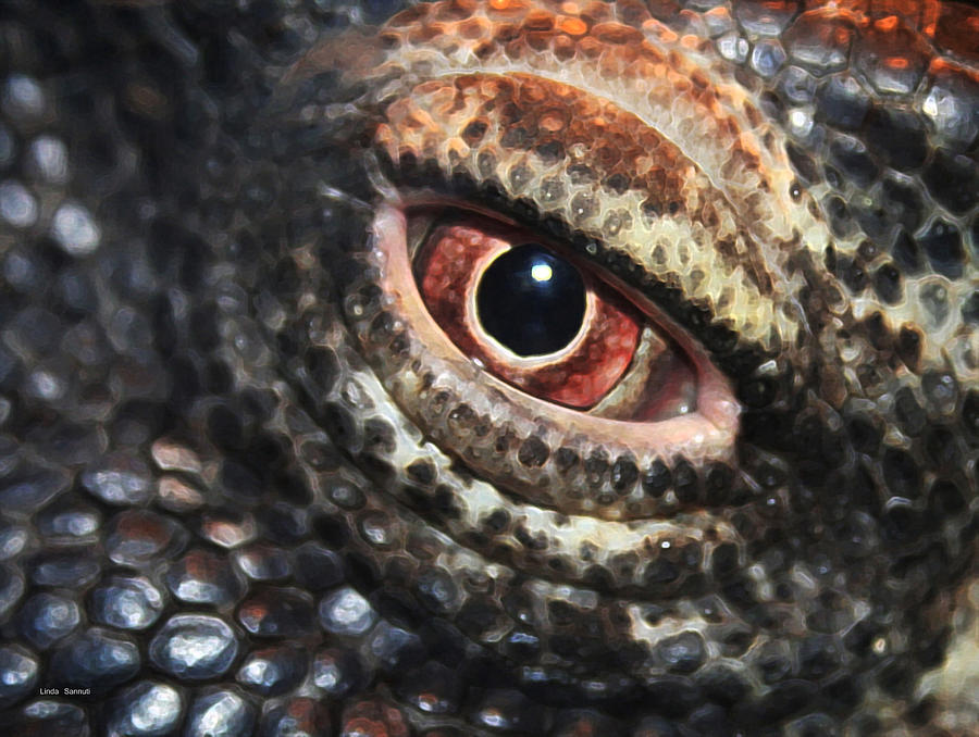 Komodo Dragon Eye Photograph by Linda Sannuti
