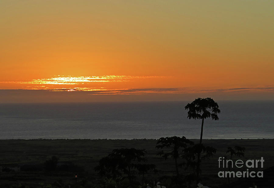 Kona Sunset Photograph by Cindy Murphy