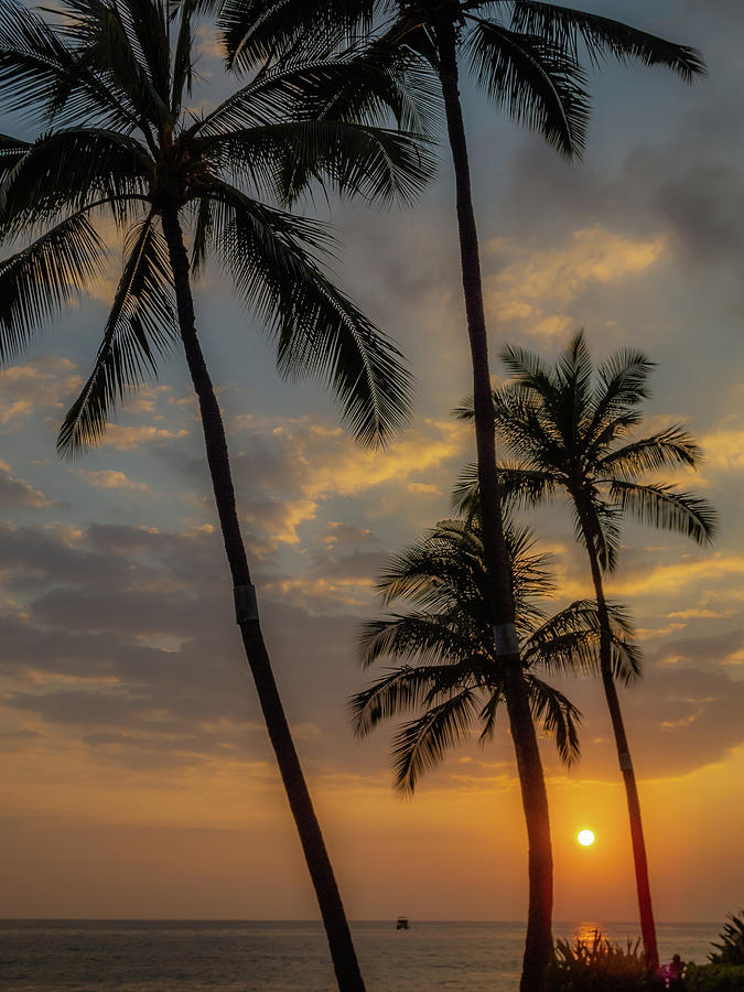 Kona Sunset Photograph by Doug Davidson