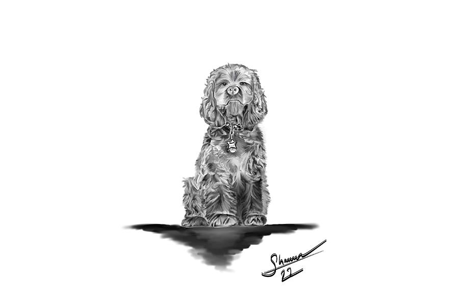 Dog Digital Art - Kona the Cocker Spaniel Posing by Shannon Harrington