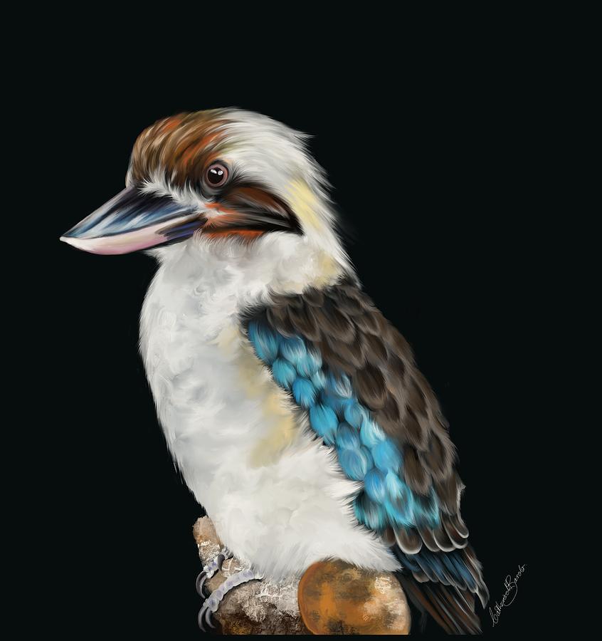 Kookaburra Digital Art By Catherine Barolo