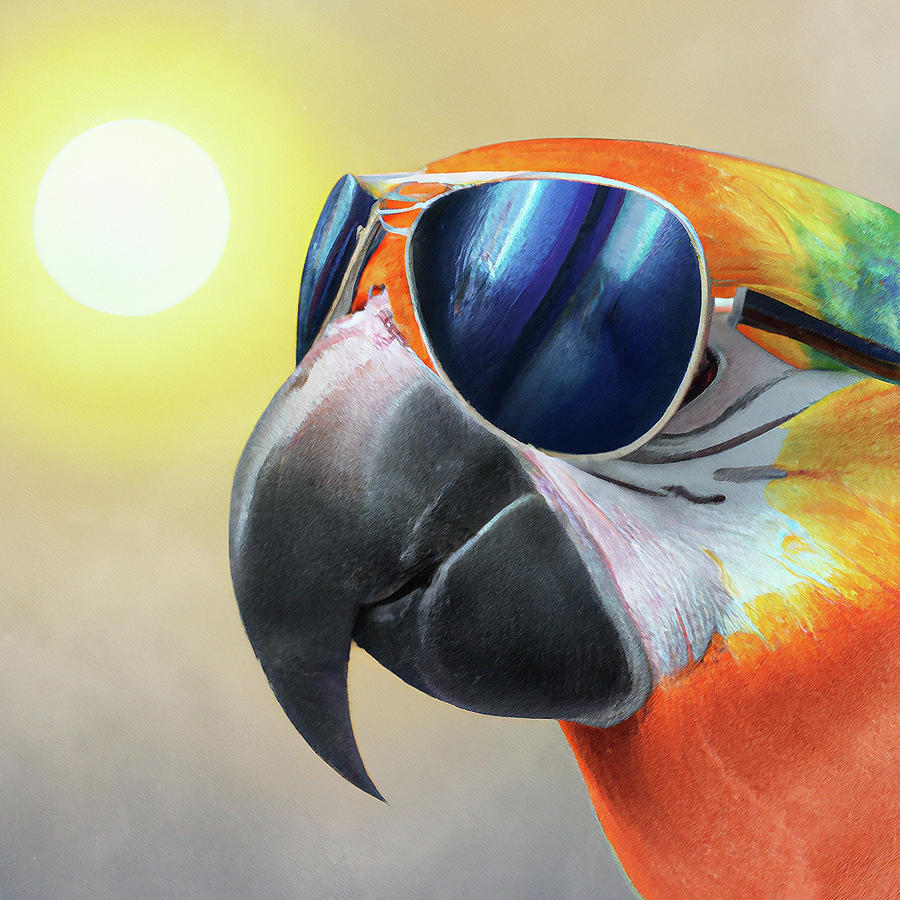 Kool Thing Digital Art by Star Dreamer Fine Art America