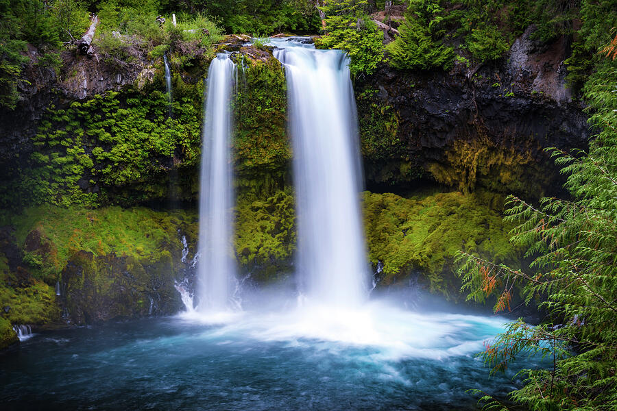 Koosah Falls in Central Oregon Photograph by Matthew Alberts - Pixels