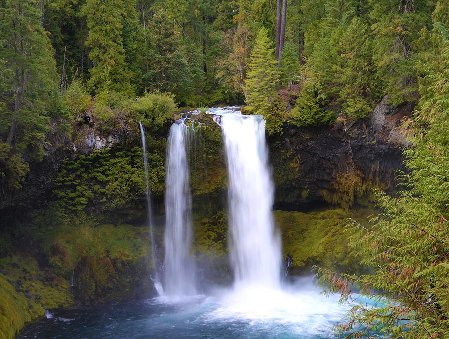 Koosah Falls Photograph by Sue Wood Kennedy Wood Five Photography