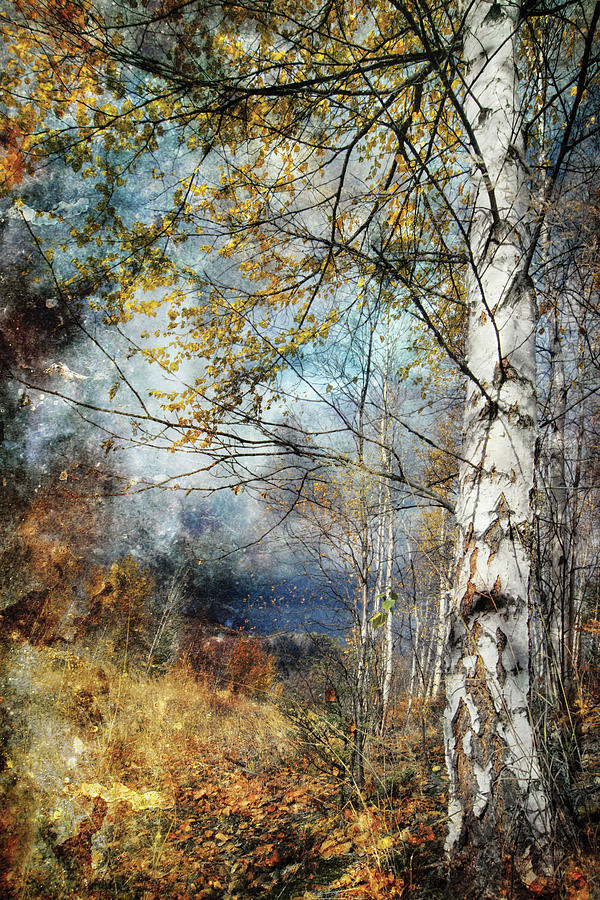 Kootenay Fall Photograph by Ursula Abresch