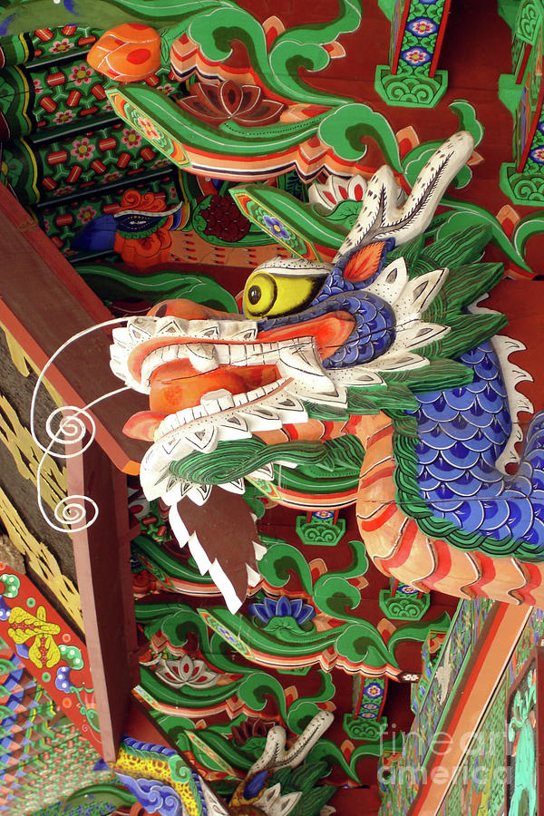 Korean dragon Photograph by Delphimages Photo Creations